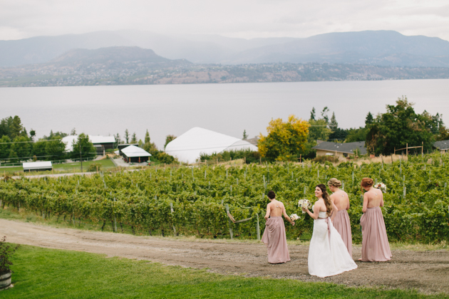 Summerhill Estate Winery Wedding Photos (50)