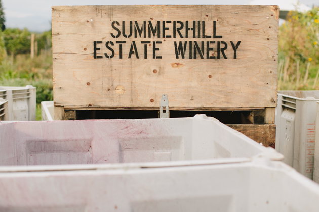 Summerhill Estate Winery Wedding Photos (38)