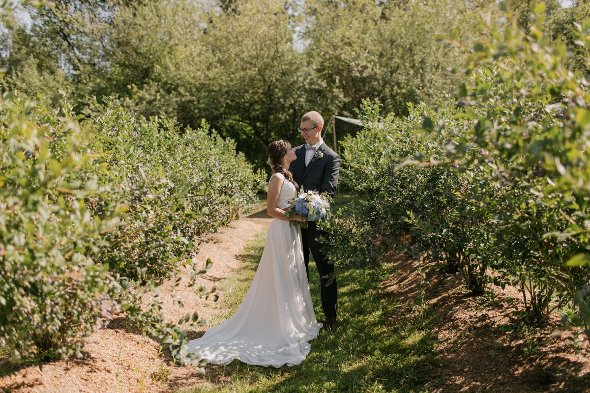 maan farms wedding photos in abbotsford